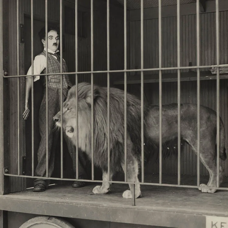 Chaplin: The Circus (1928) 1 4 Chaplin The Circus 1928
